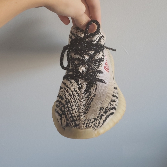 Zebra Yezzys - Picture 3 of 4